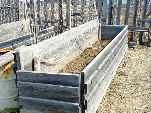 деревянные парники для дачи своими руками для огурцов