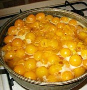 варенье из алычи рецепт на зиму