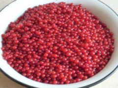 желе на зиму из красной смородины