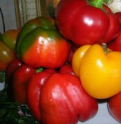 болгарский перец маринованный с мёдом
