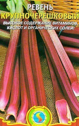 ревень посадка, выращивание - сорт крупночерешковый