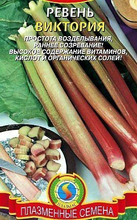 ревень посадка, выращивание - сорт виктория