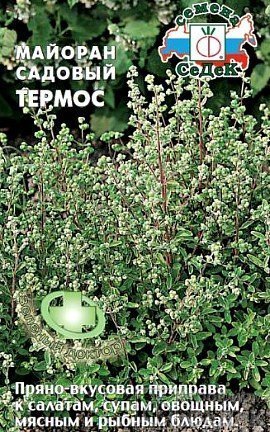 садовый майоран, выращивание - семена сорт термос