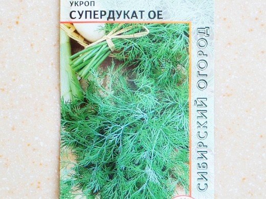 укроп посадка и выращивание - сорт супердукат ое
