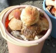 салат из грибов на зиму