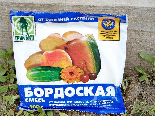 вредители роз - препарат бордоская смесь