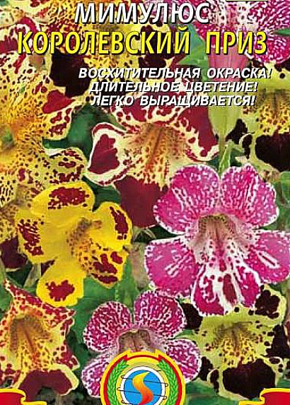 цветы мимулюс, выращивание из семян - сорт королевский приз