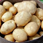 лучшие сорта картофеля с описанием для разных регионов 1