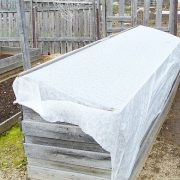 особенности выращивания овощей в северных районах - в парнике