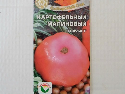 лучшие сорта помидор с фото и описанием - томат картофельный малиновый
