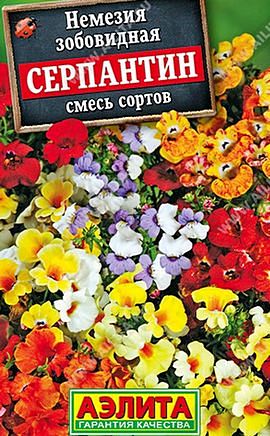 выращивание цветов немезии из семян, зобовидная, смесь сортов серпантин